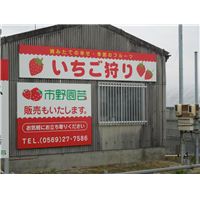 いちご1.jpg