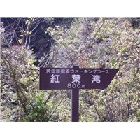 紅葉滝3.jpg