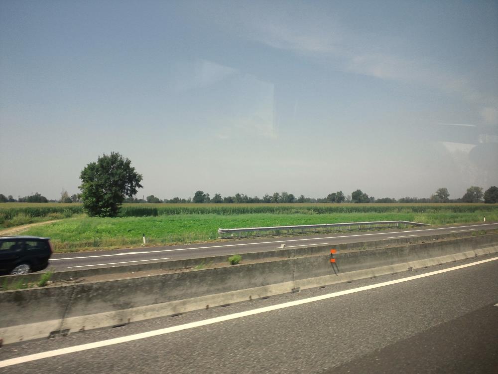 DSC_0197.jpg