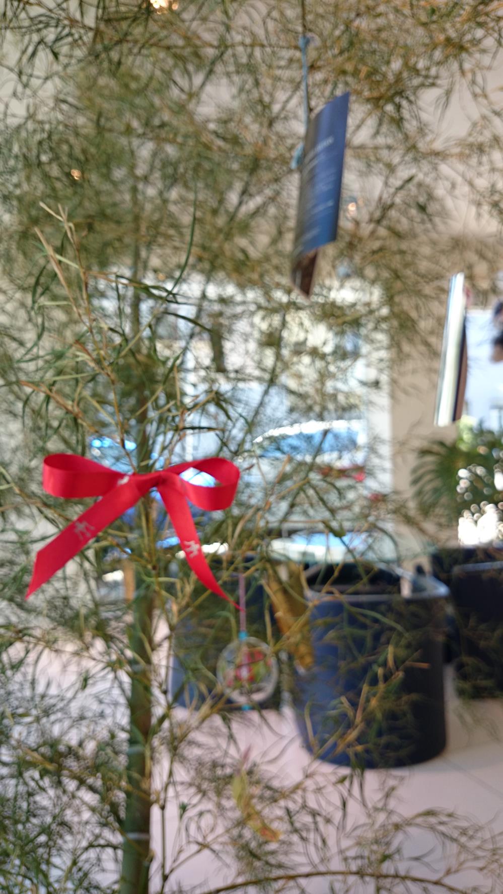 DSC_4637.jpg