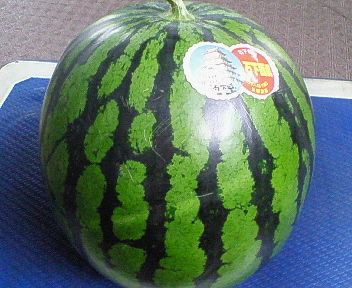 090705.jpg