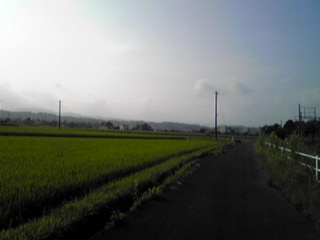 100803_0740~01.jpg