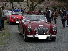 lafesta10.jpg