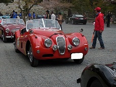 lafesta9.jpg