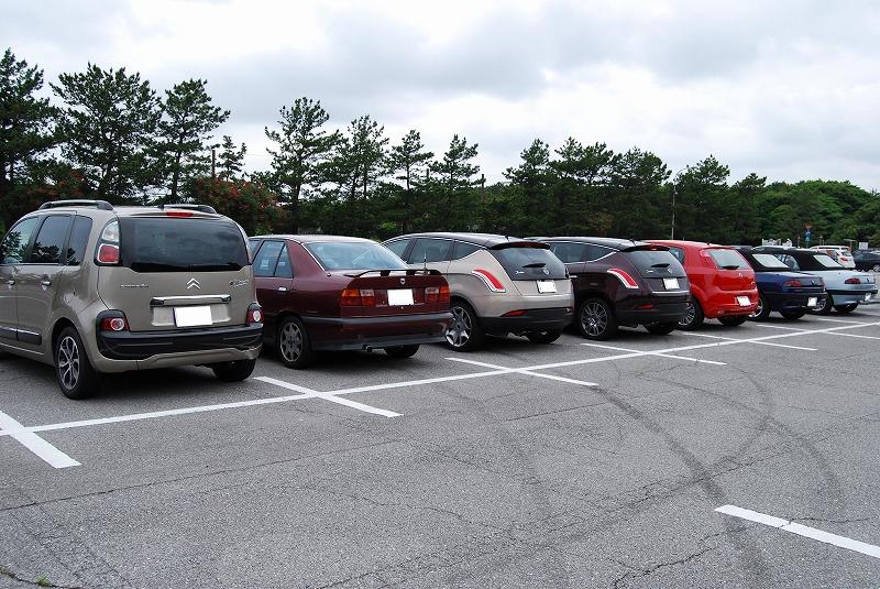 DSC_0799.jpg