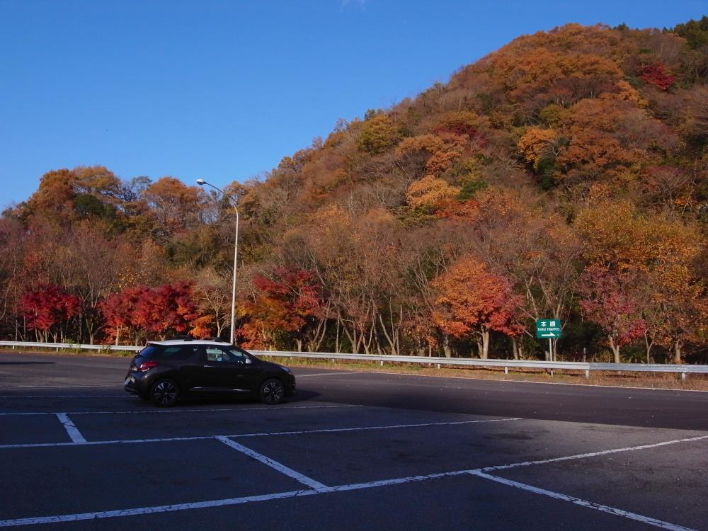 R0011511.jpg