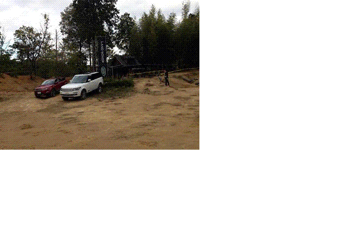 白赤.gif