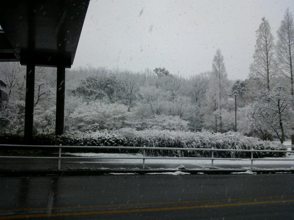 雪景色.jpg