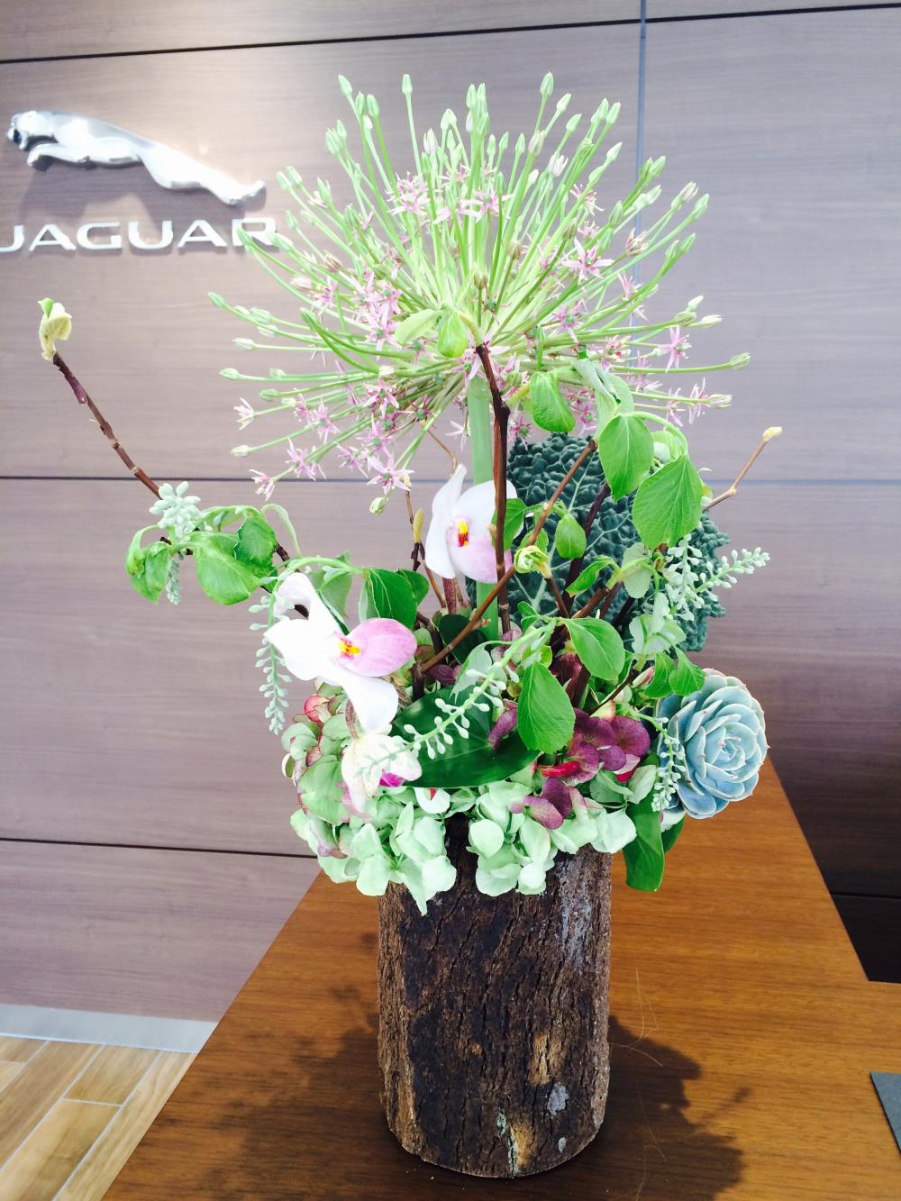 2016.3.25.jpg