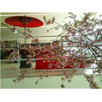 0321満開桜.jpg
