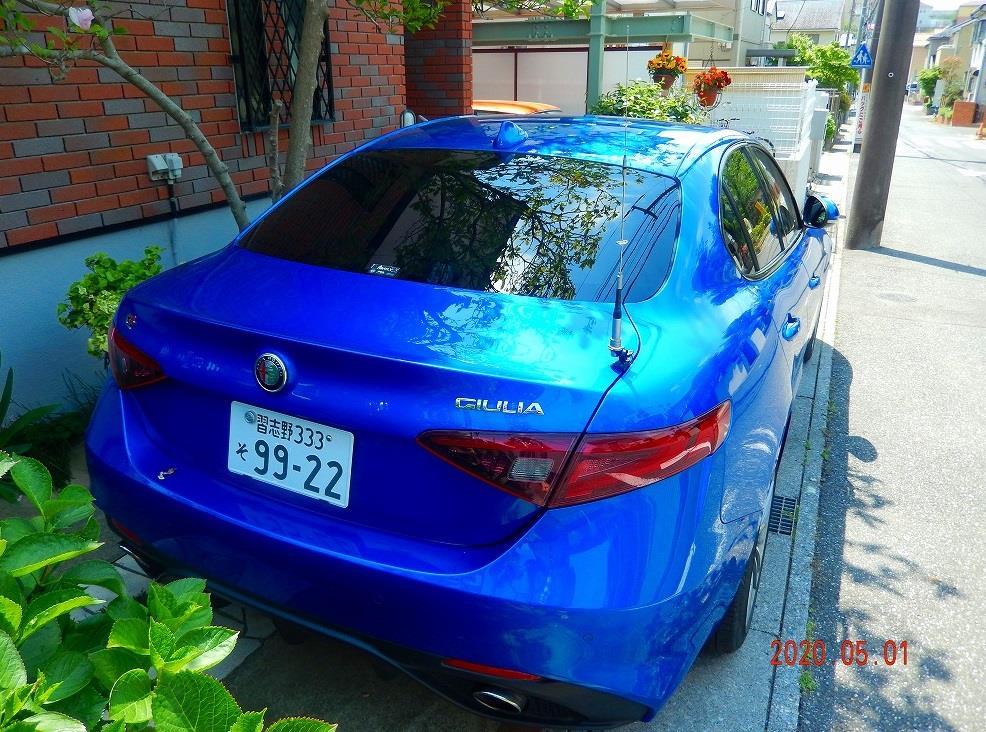 DSCN6074.jpg