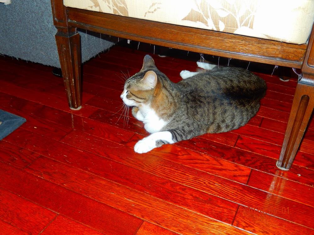 DSCN6081.jpg