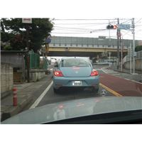 DSCN4253.jpg