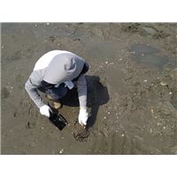 IMG_2863.jpg