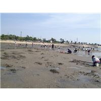 IMG_2864.jpg