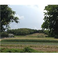 IMG_3037.jpg