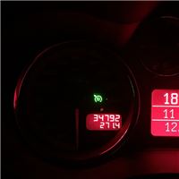 IMG_3646.jpg