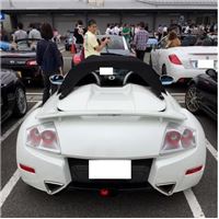 IMG_6010 (479x640).jpg