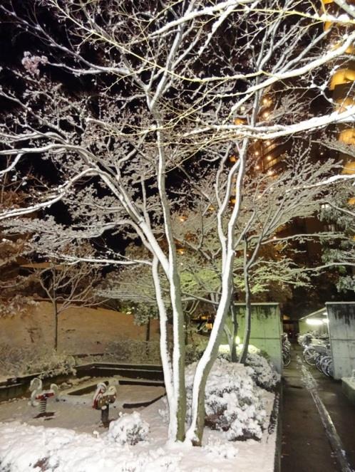 150102_0.jpg