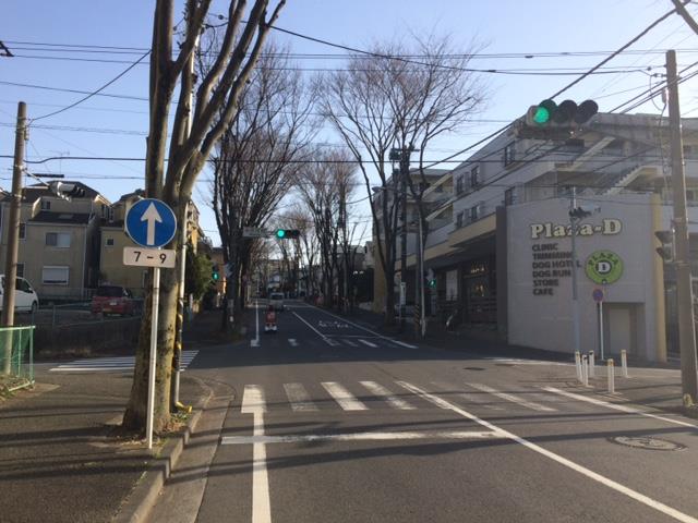 IMG_4023（バス通り）.jpg