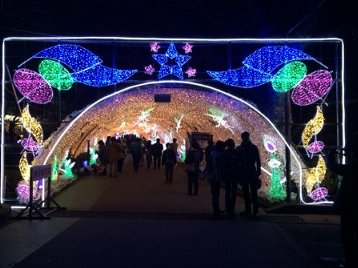 トンネル__ 4.jpg