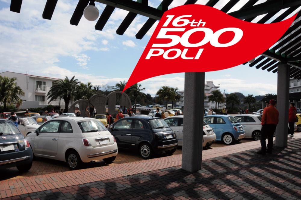 500poli_02.jpg