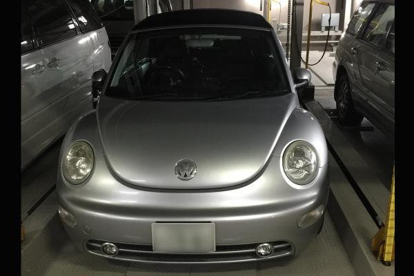Beetle.png