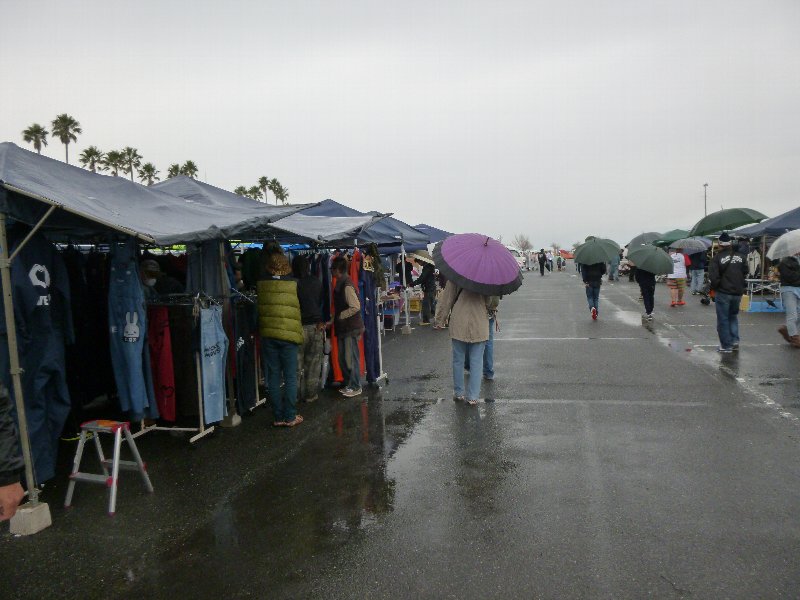 P1020507.jpg