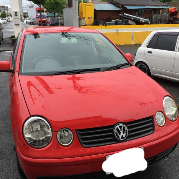 polo_aka.png