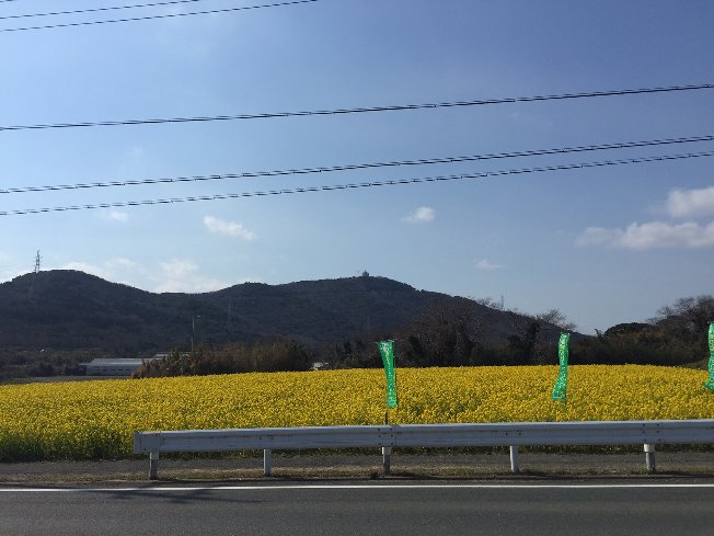 takayanagi IMG_0735.jpg