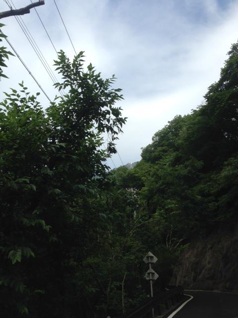 cd1_14795e08019.jpg