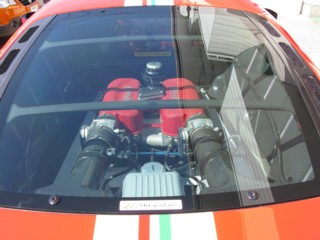IMG_0127_1.jpg