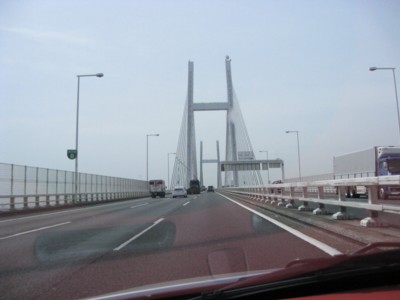 IMG_0905_1.jpg