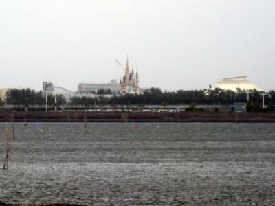 IMG_1038_1.JPG