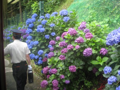 IMG_1189_2.jpg
