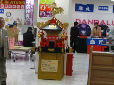 IMG_1981_1.jpg