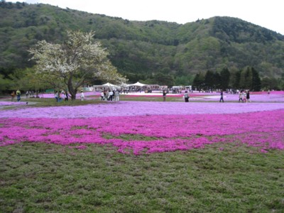 IMG_2206_1.jpg