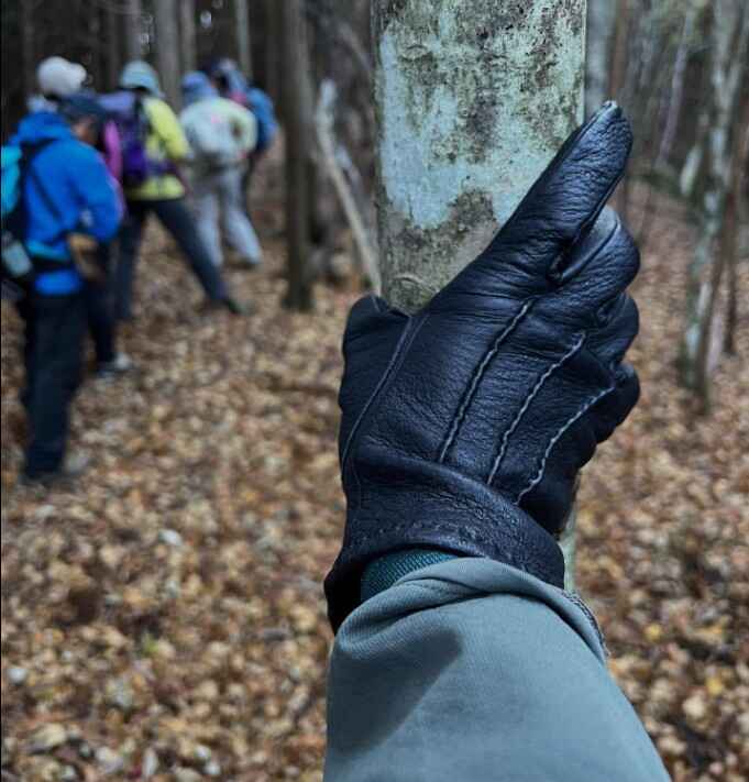 スクリーンショット 2025-11-22 221532.jpg