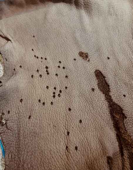 スクリーンショット 2025-11-22 222933.jpg