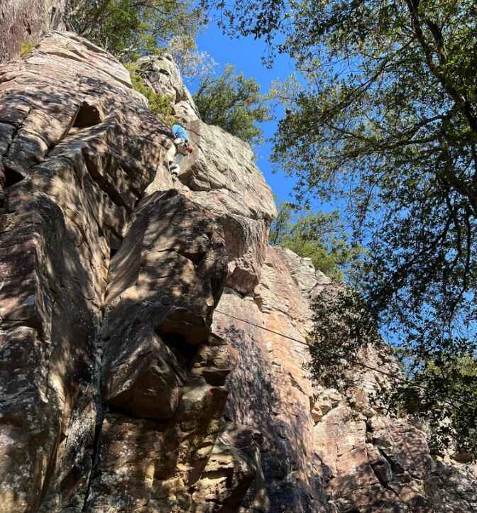 スクリーンショット 2025-11-29 074602.jpg