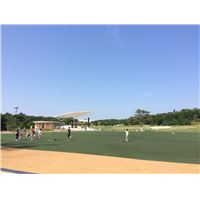 IMG_8292.JPG