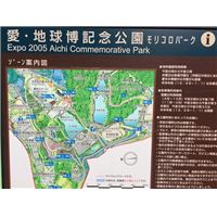 IMG_8312.JPG