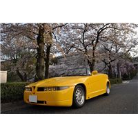 1704alfamaiko (40).jpg