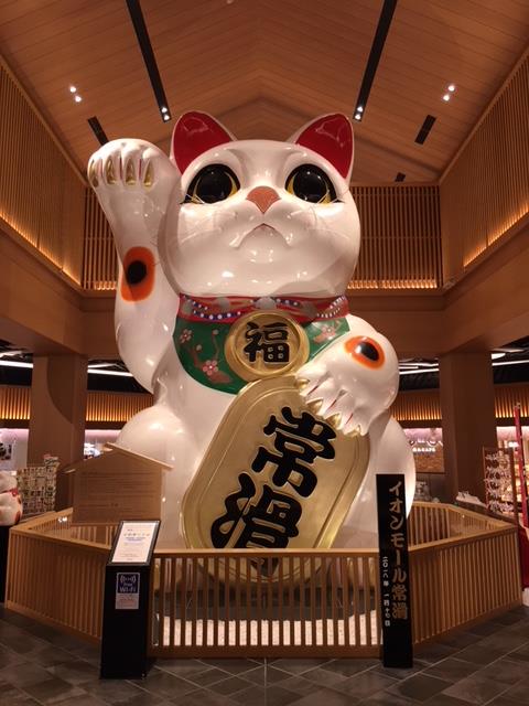 猫１.png