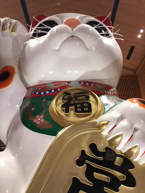 猫２.png