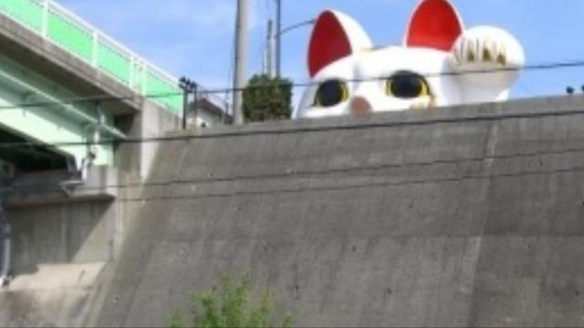 猫３.png