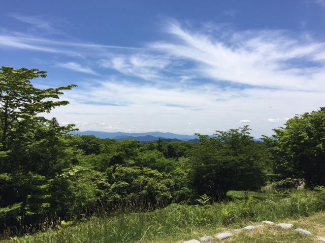 緑.jpg