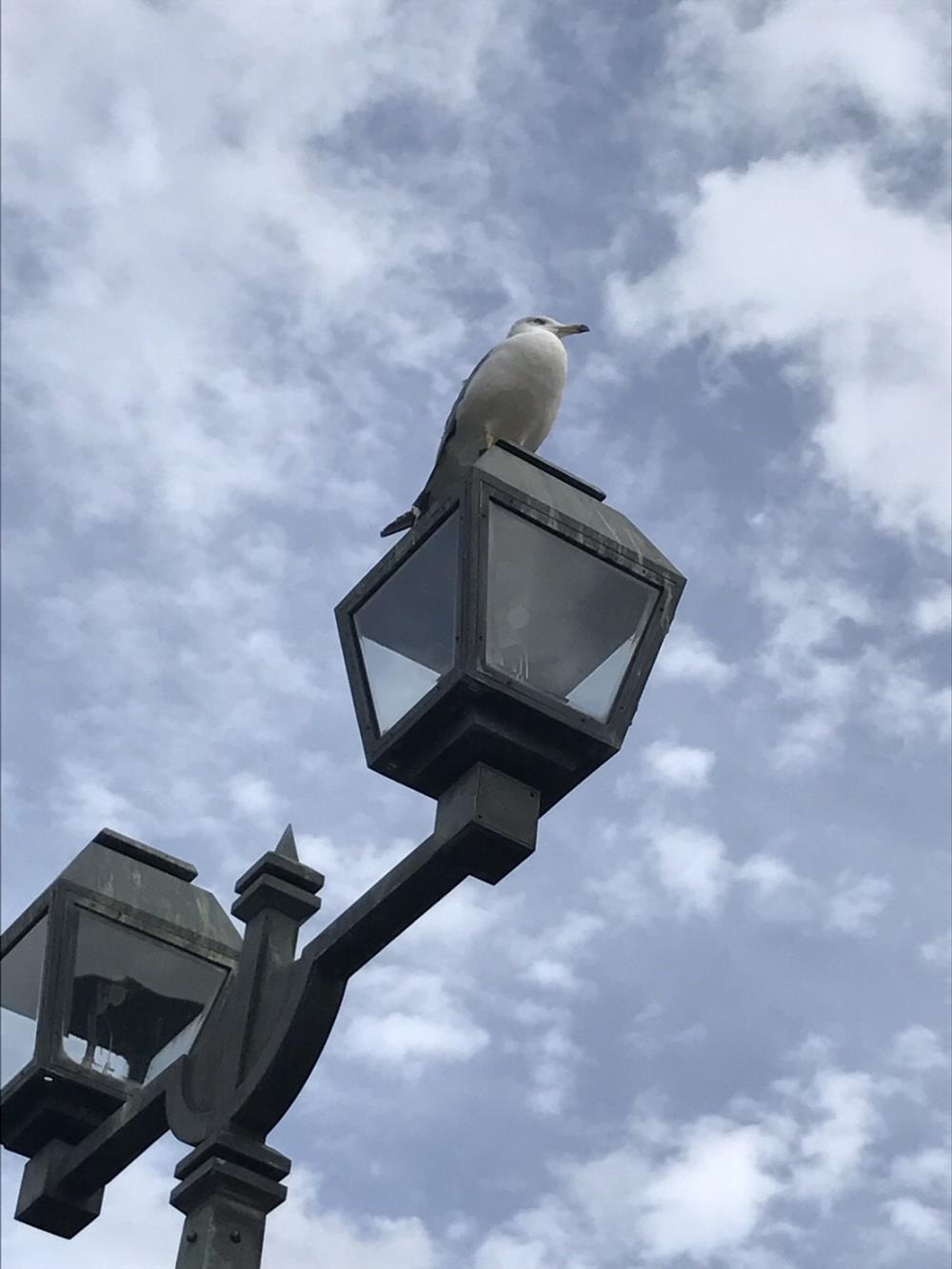 北海道画像７.jpg