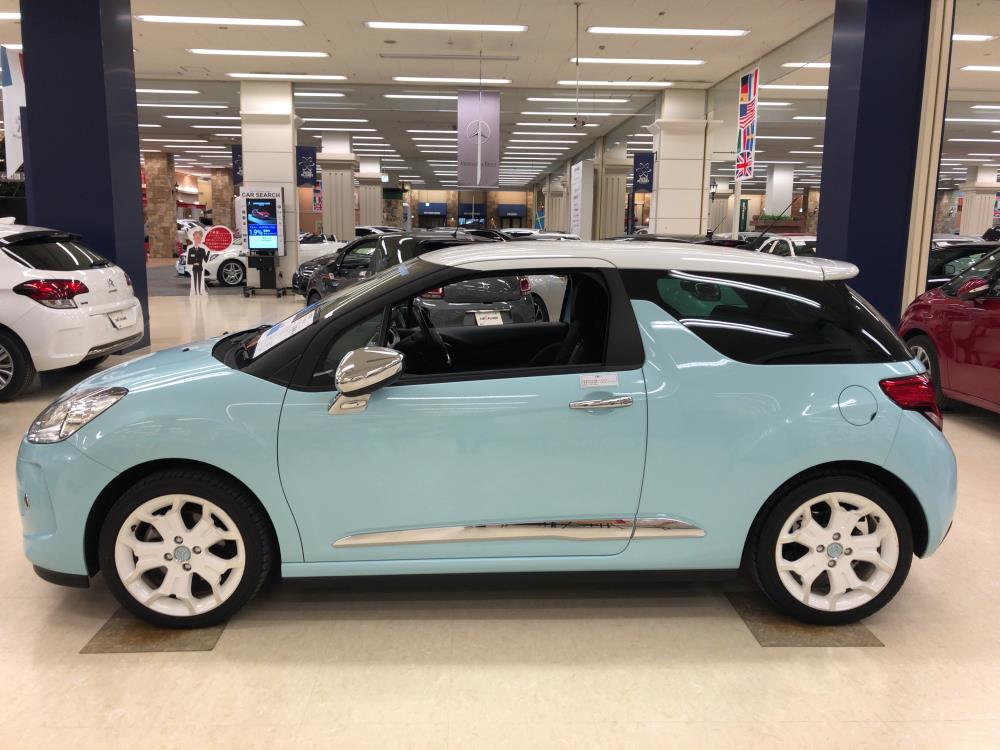 DS311.jpg