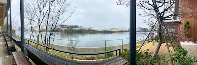 桜2021-2.jpg